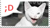 kitty wink